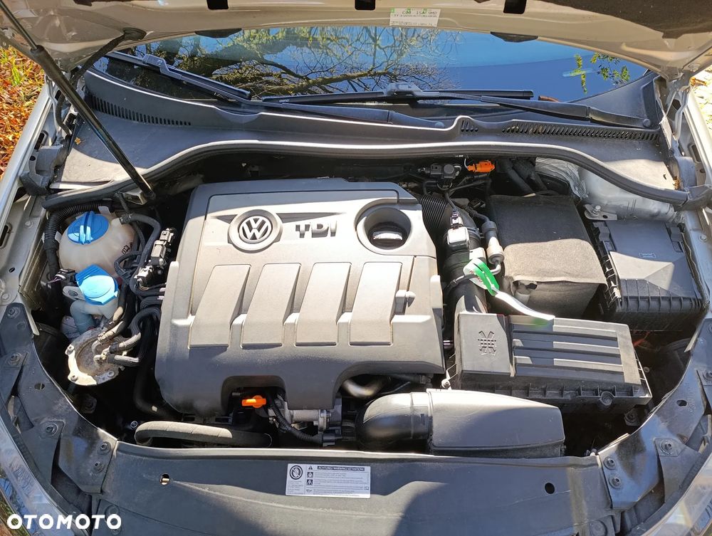Volkswagen Golf - 18