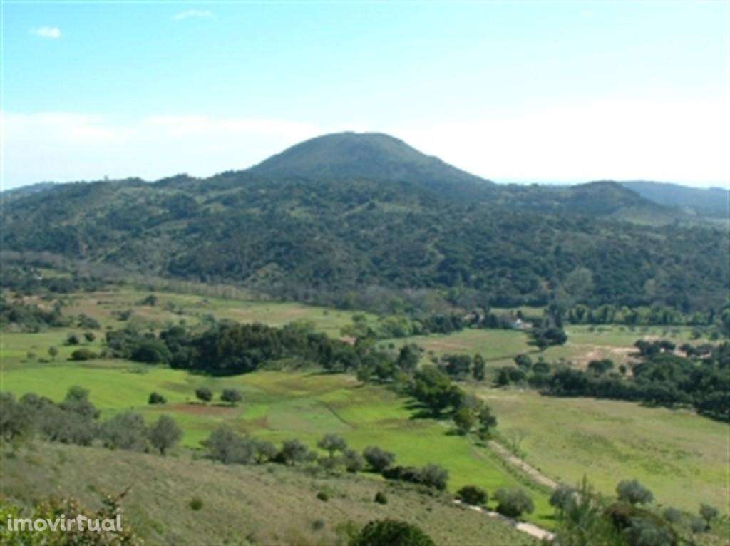 Parque Natural Arrábida Azeitão Terreno 5 Ha no cimo da serra . - Grande imagem: 4/5