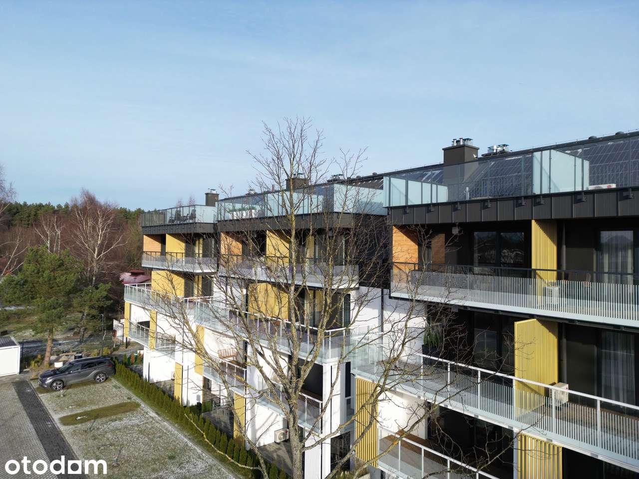 Posesja Plażowa | apartament 2-pok. | C103