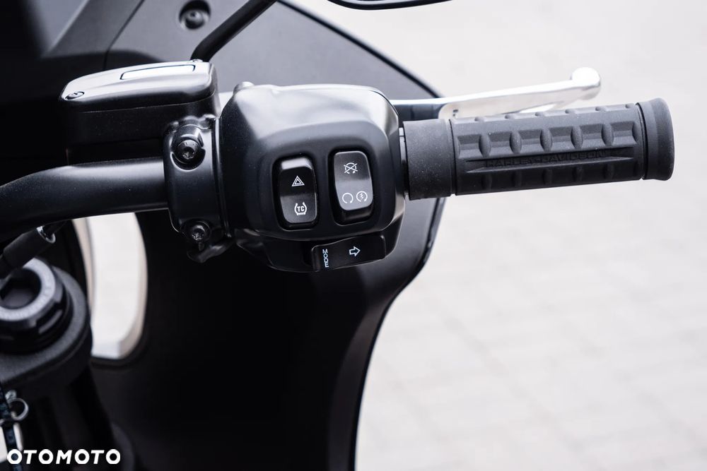 Harley-Davidson Softail Low Rider - 11