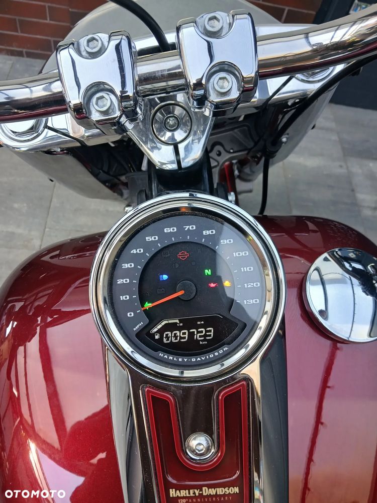Harley-Davidson Inny - 10