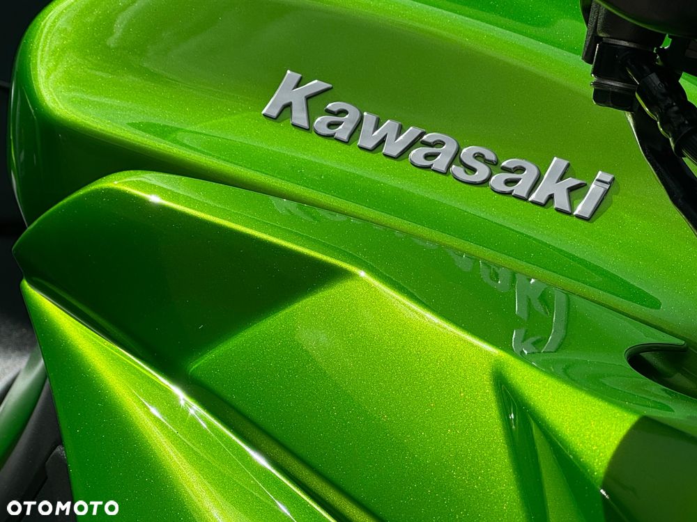 Kawasaki Z - 10