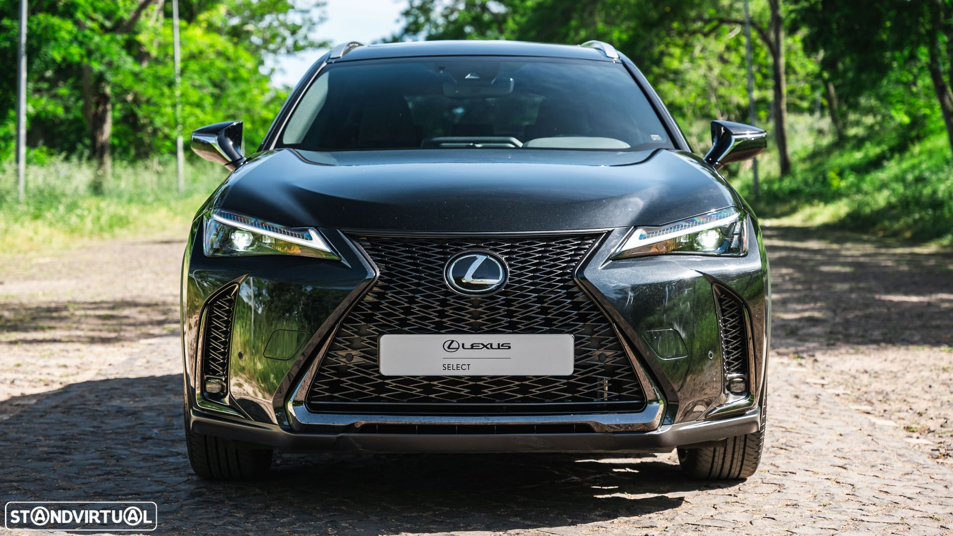 Lexus UX 250h Sport (Ecrã 12.3) - 2