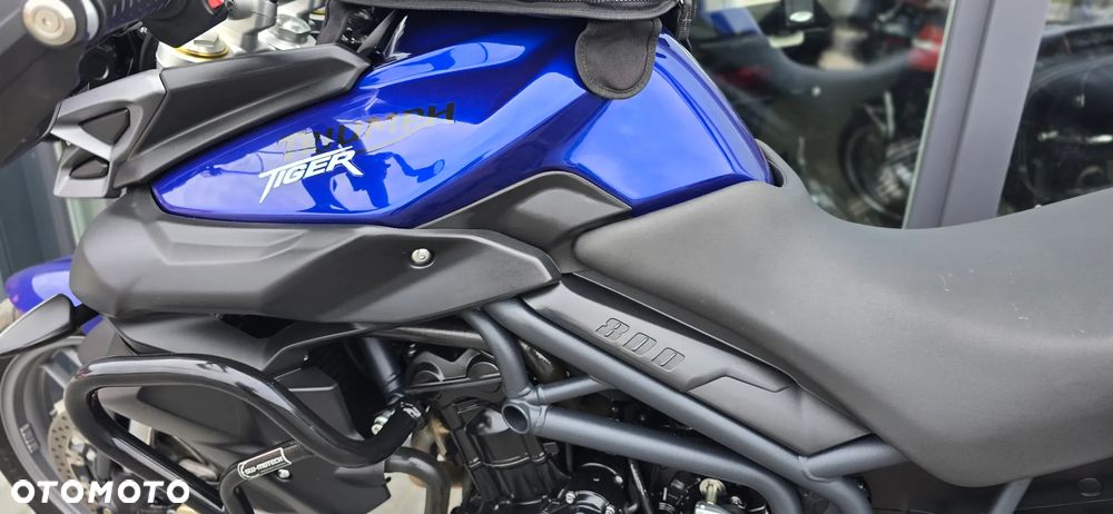 Triumph Tiger - 31