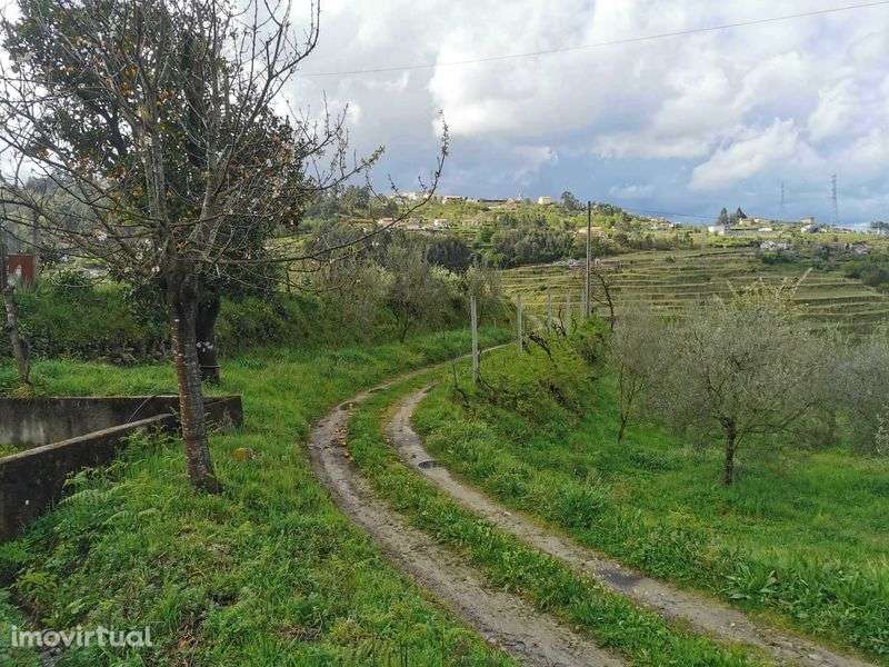 Quinta no Douro a 50min do Porto - Plano, tranquilo-Varias construçoes - Grande imagem: 2/12