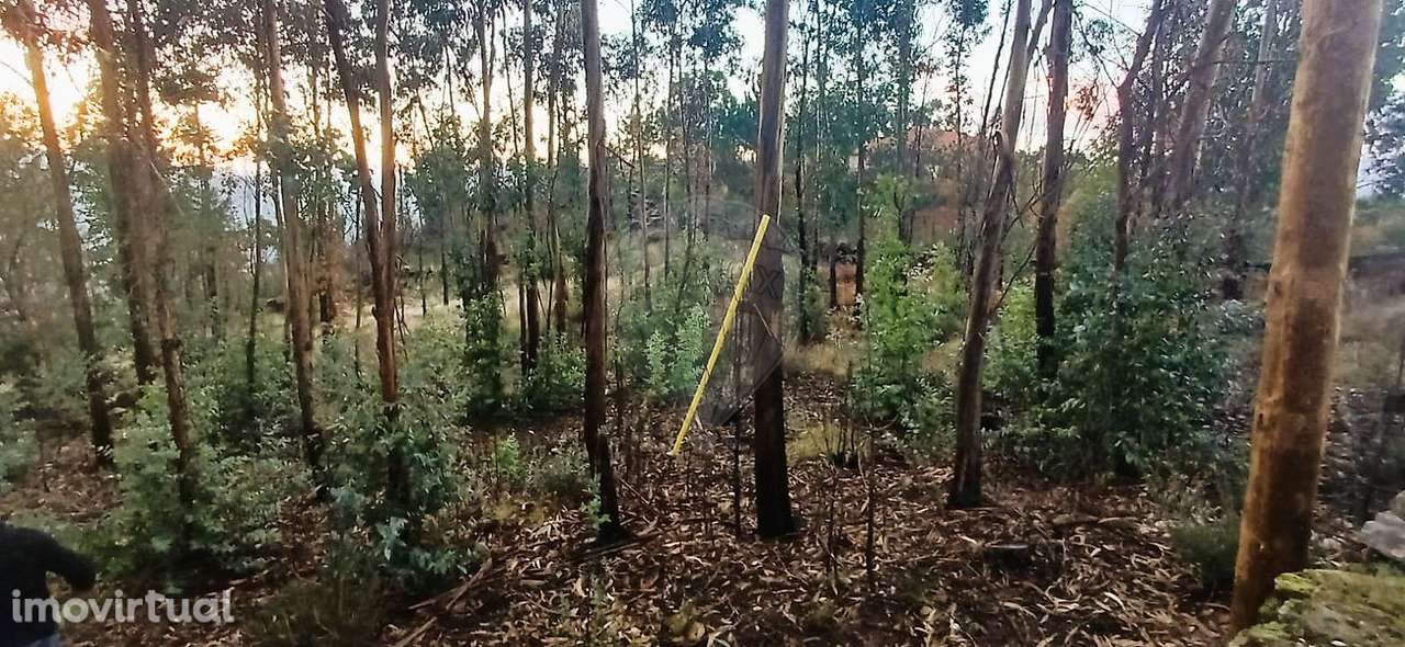 Terreno  para venda - Grande imagem: 4/5