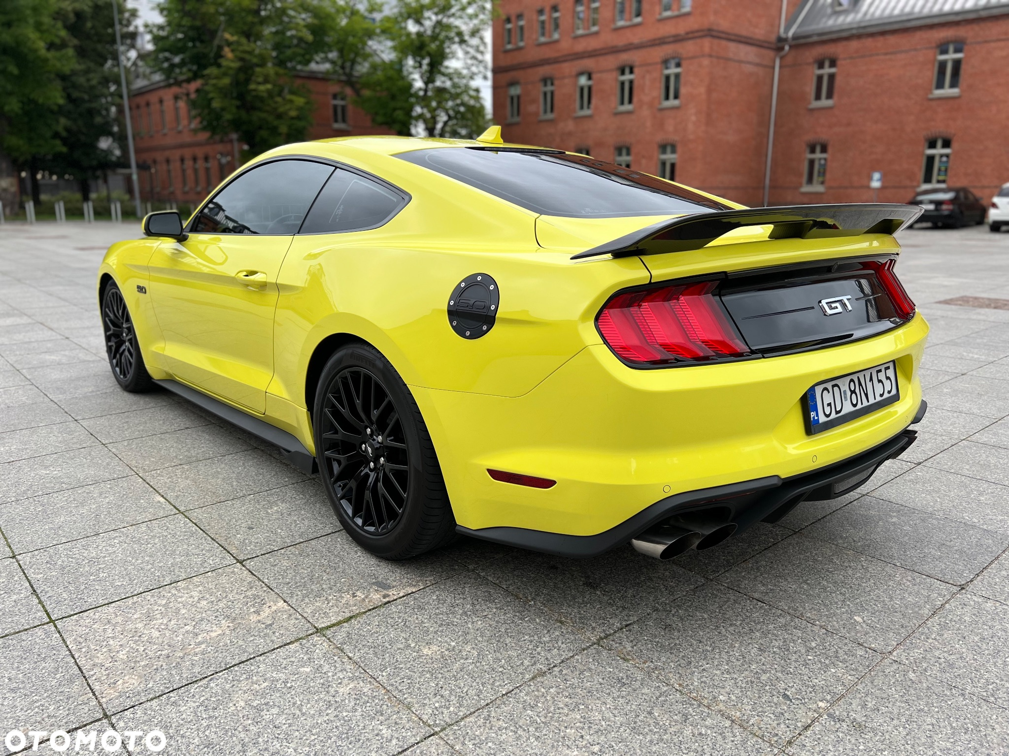 Ford Mustang 5.0 V8 Mach 1 - 3