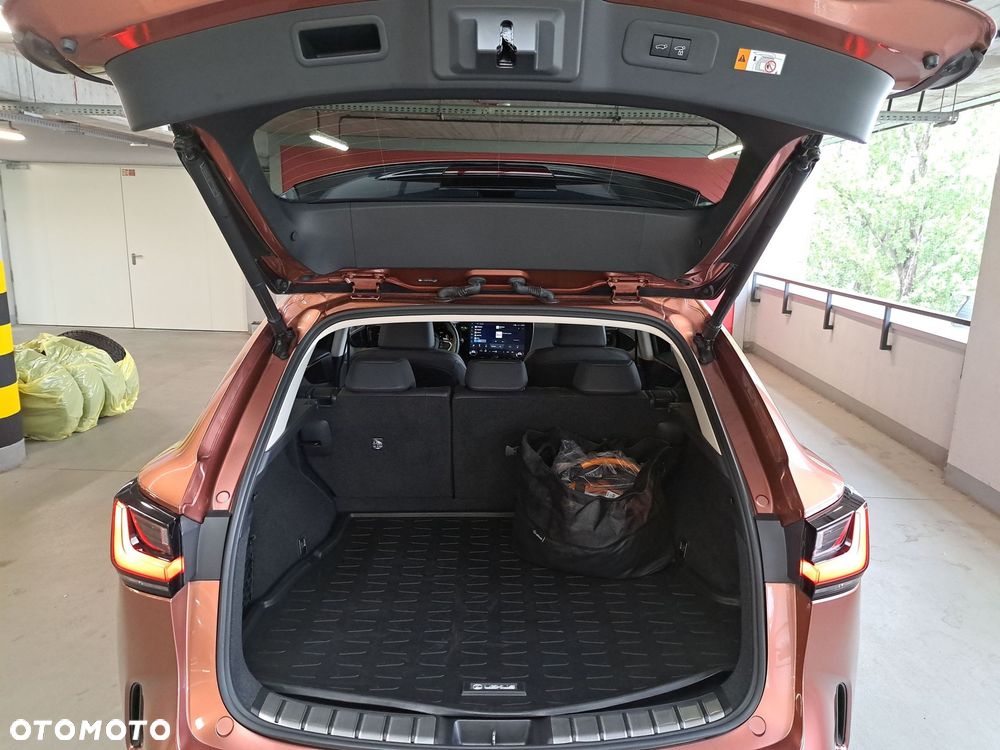 Lexus NX - 14