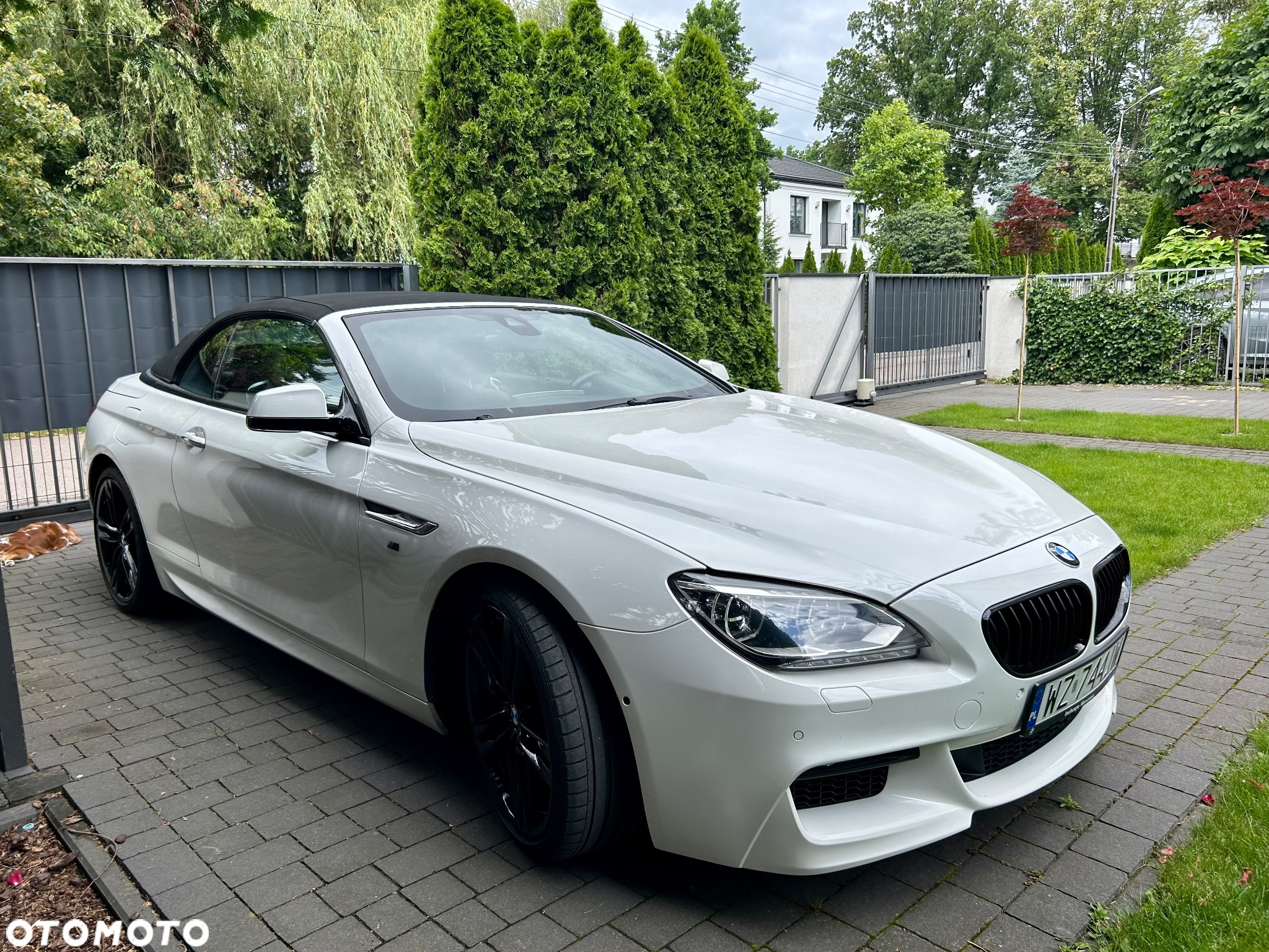 BMW Seria 6 650i Coupe M Sport Edition - 5