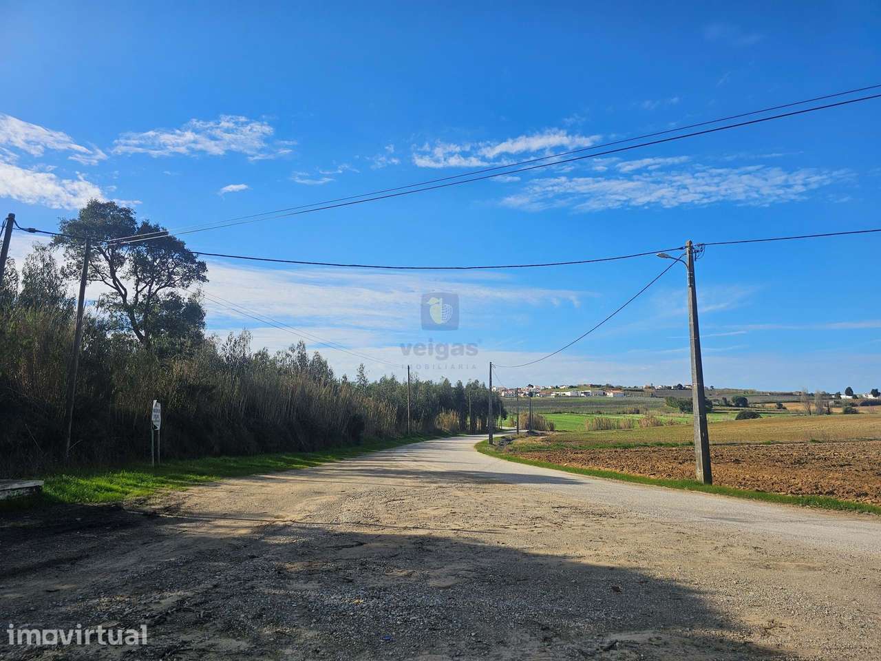 Terreno com uma área generosa de 13.840m2 com plantação de eucaliptos - Grande imagem: 2/11