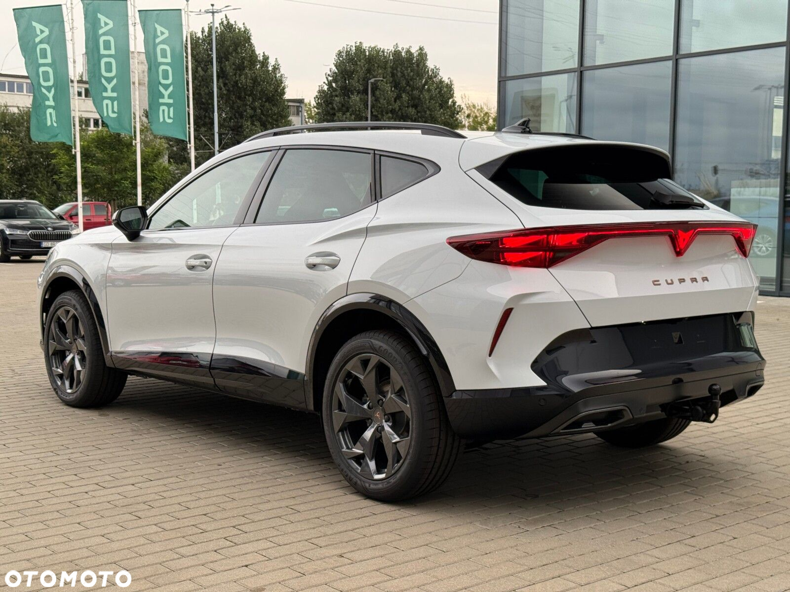 Cupra Formentor 2.0 TDI DSG - 17