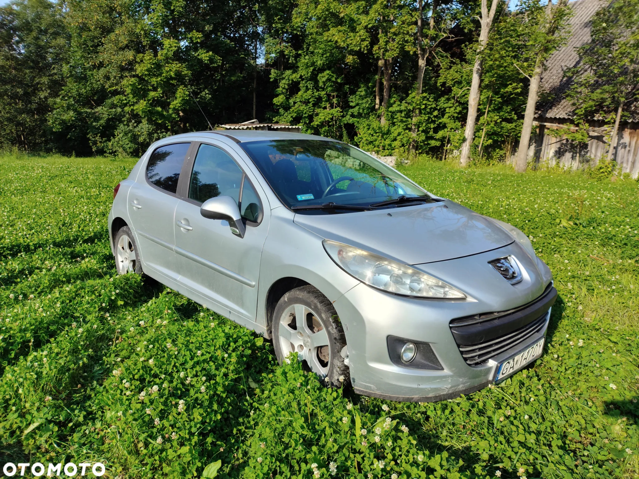 Peugeot 207 - 6