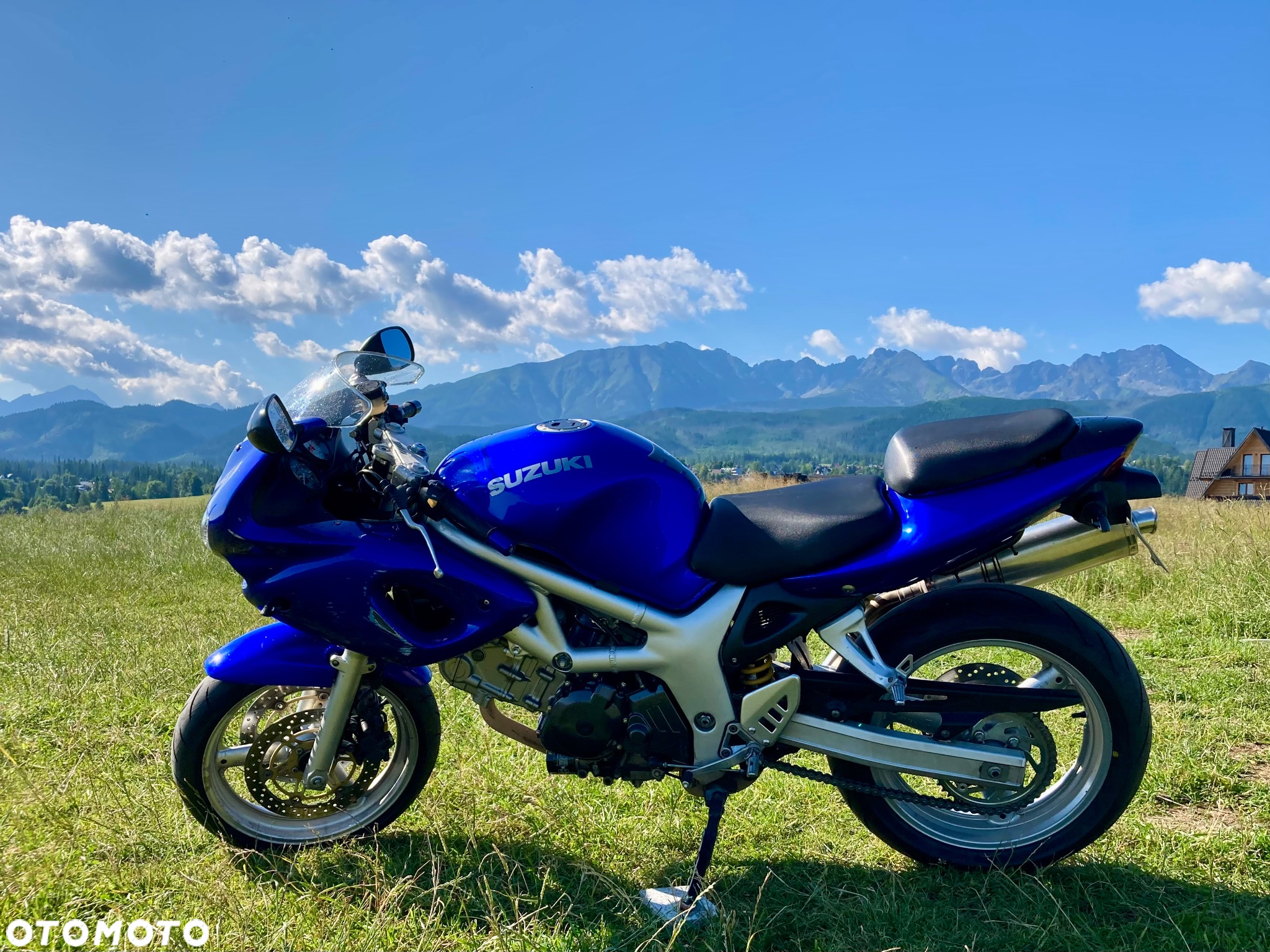 Suzuki SV - 6