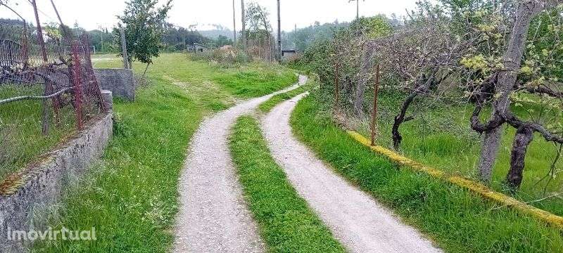 Casa 1200m² terreno Urbano anexos Galizes Oliv Hospital - Grande imagem: 3/12