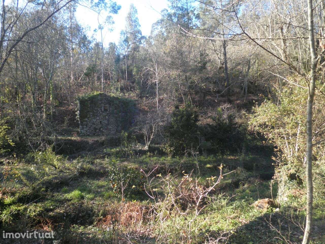 Terreno junto ao rio – Sever do Vouga - Grande imagem: 3/11