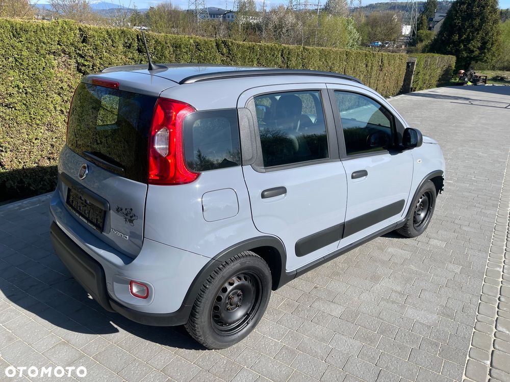 Fiat Panda 1.0 Hybrid Launch Edition - 2