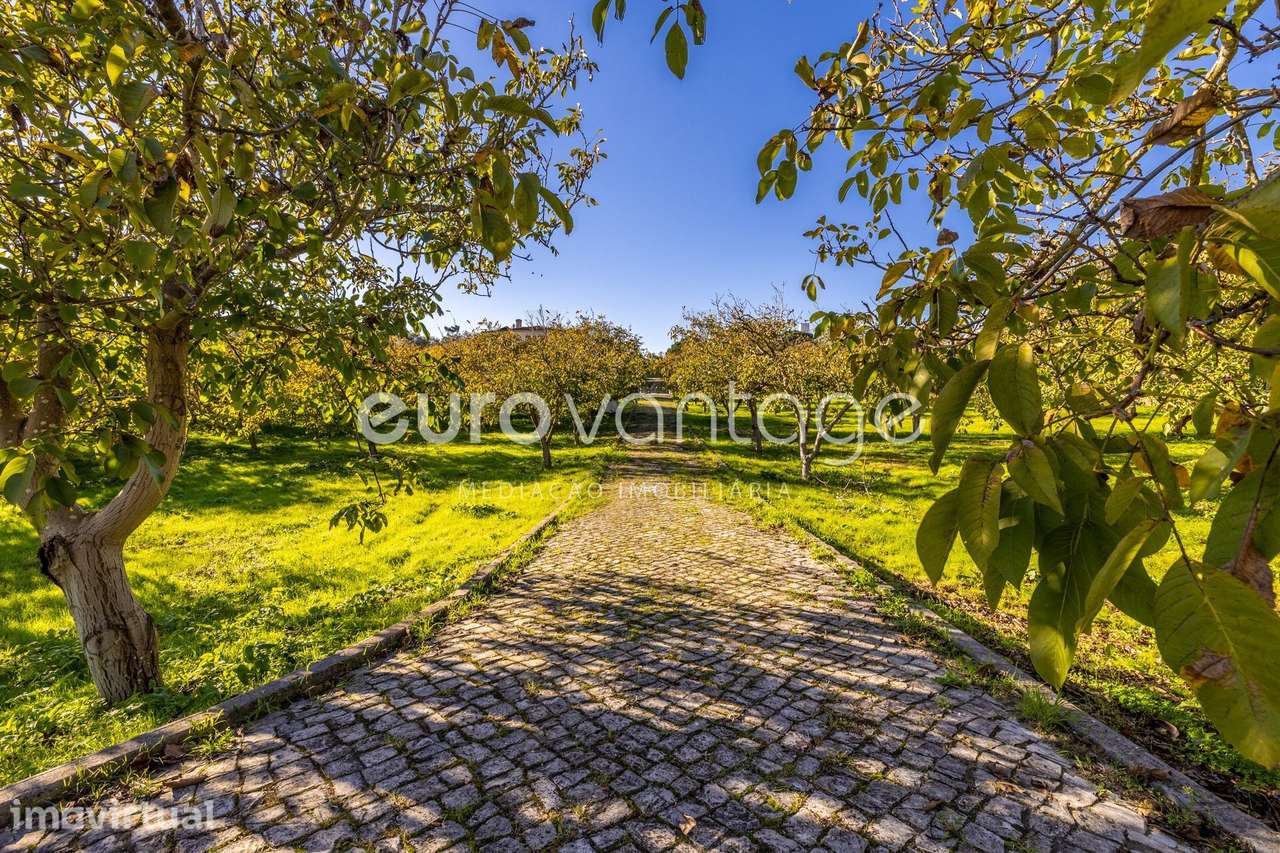 Moradia Exclusiva em Marrazes e Barosa – Conforto, Espaço e Privaci... - Grande imagem: 4/60