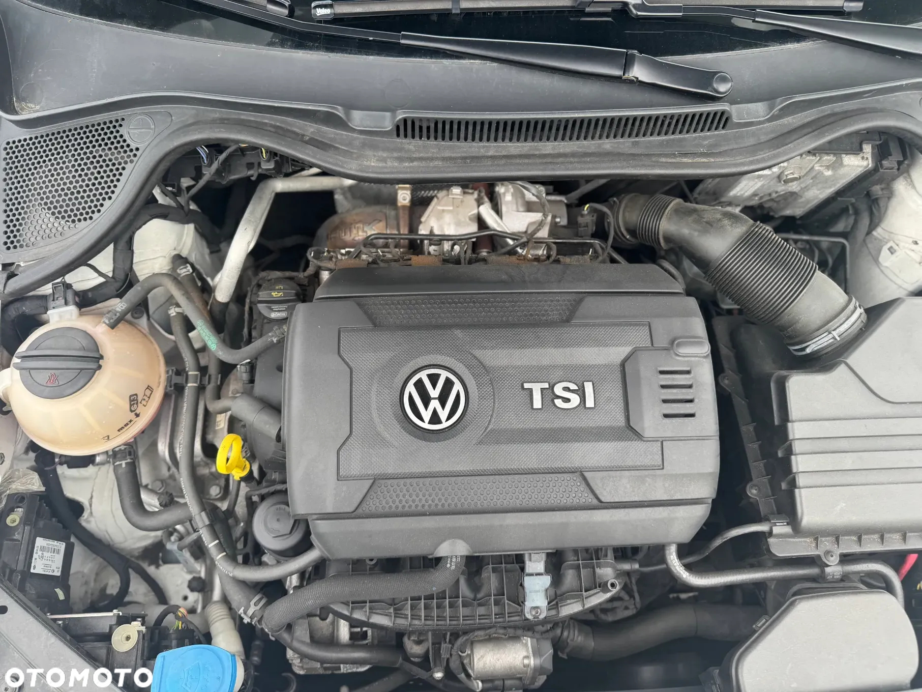 Volkswagen Polo 1.8 TSI (Blue Motion Technology) GTI - 19