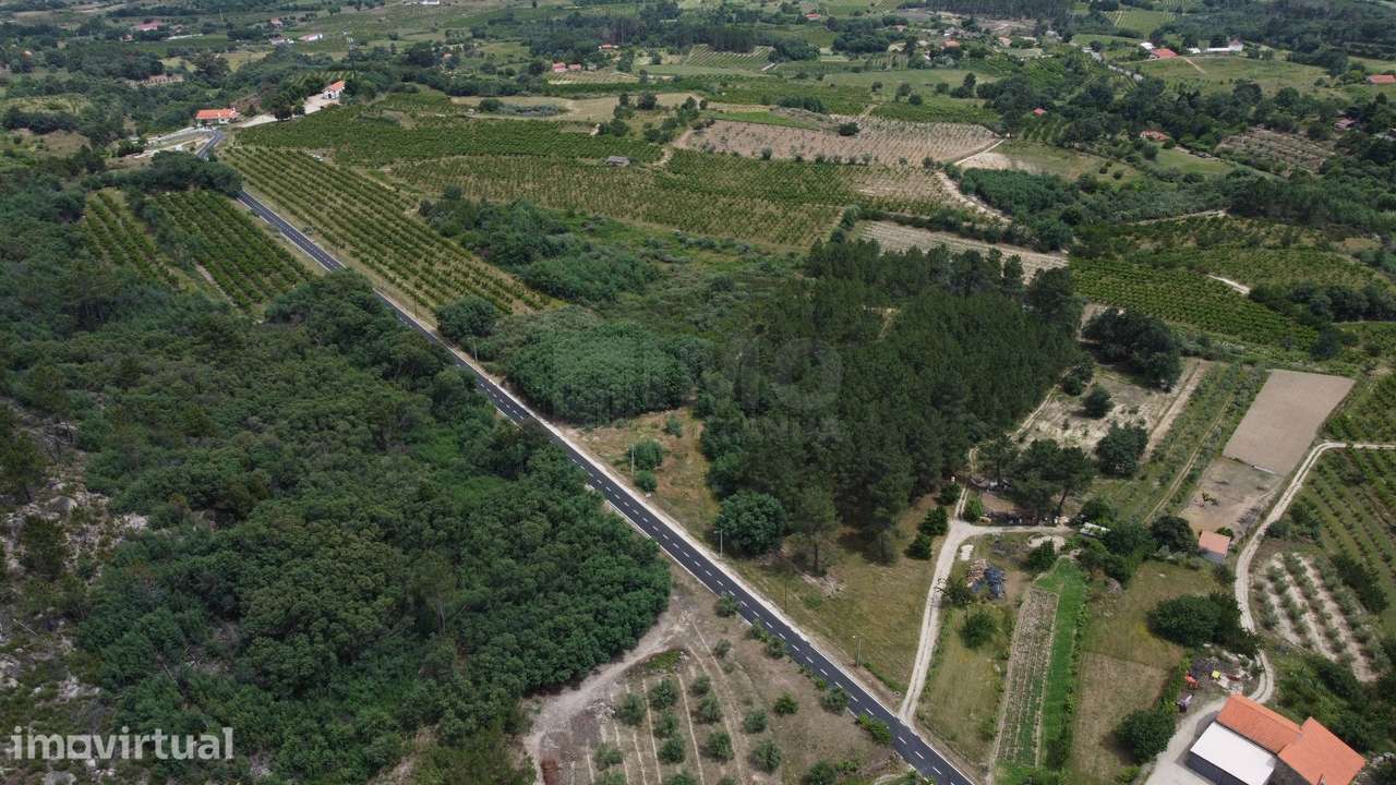 Terreno Rústico c/ 8.331 m² em Aldeia do Souto – Covilhã - Grande imagem: 3/9