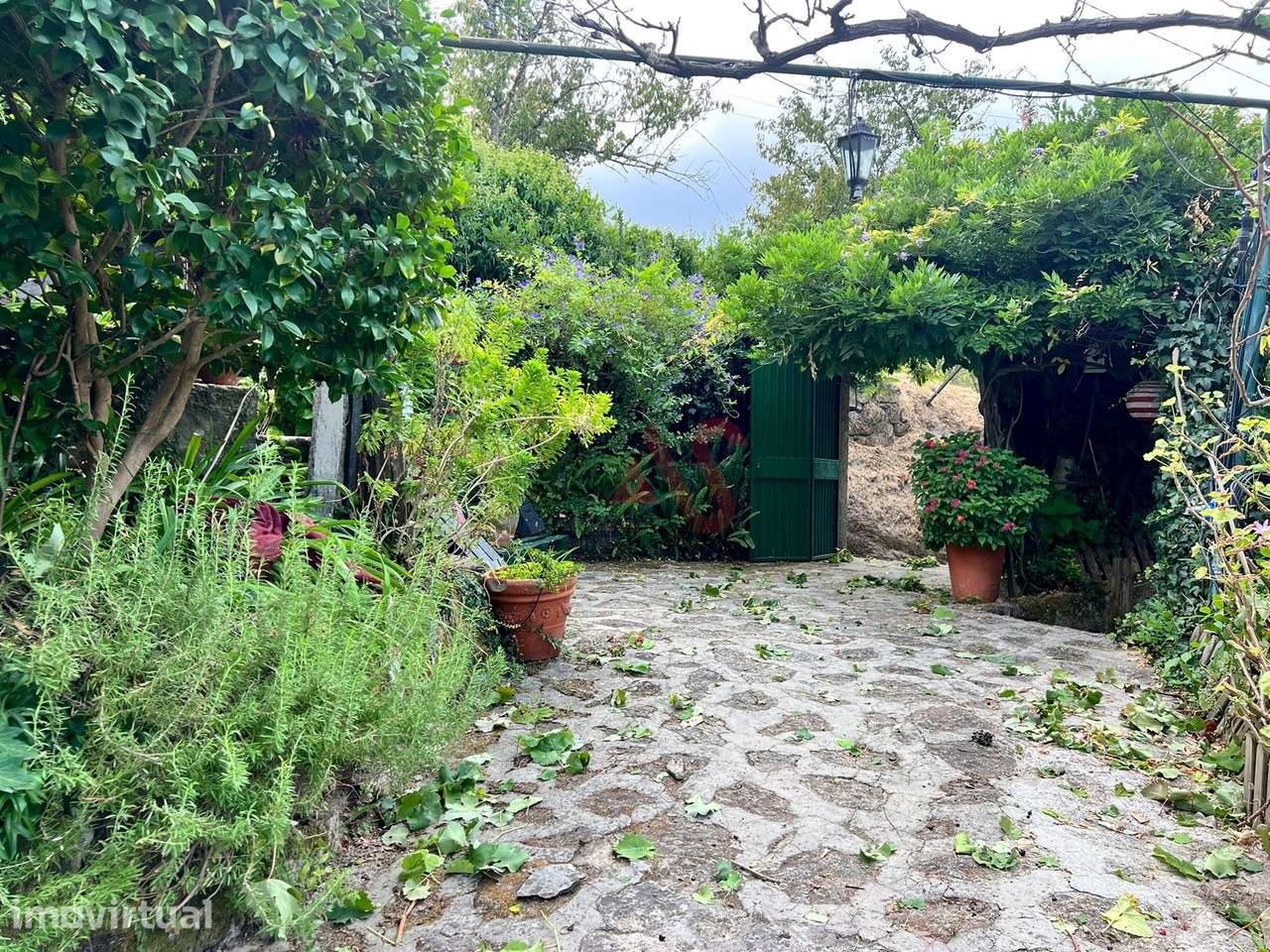 Moradia T3 em estilo Rústico em Oliveira do Douro, Cinfães, com Piscin - Grande imagem: 5/44
