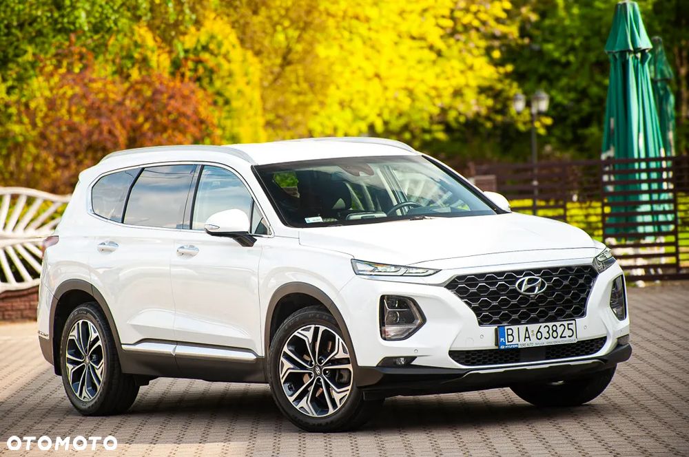 Hyundai Santa Fe 2.0 CRDi Platinum 4WD - 6