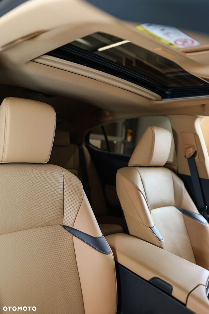 Lexus ES 300h Business Edition - 18