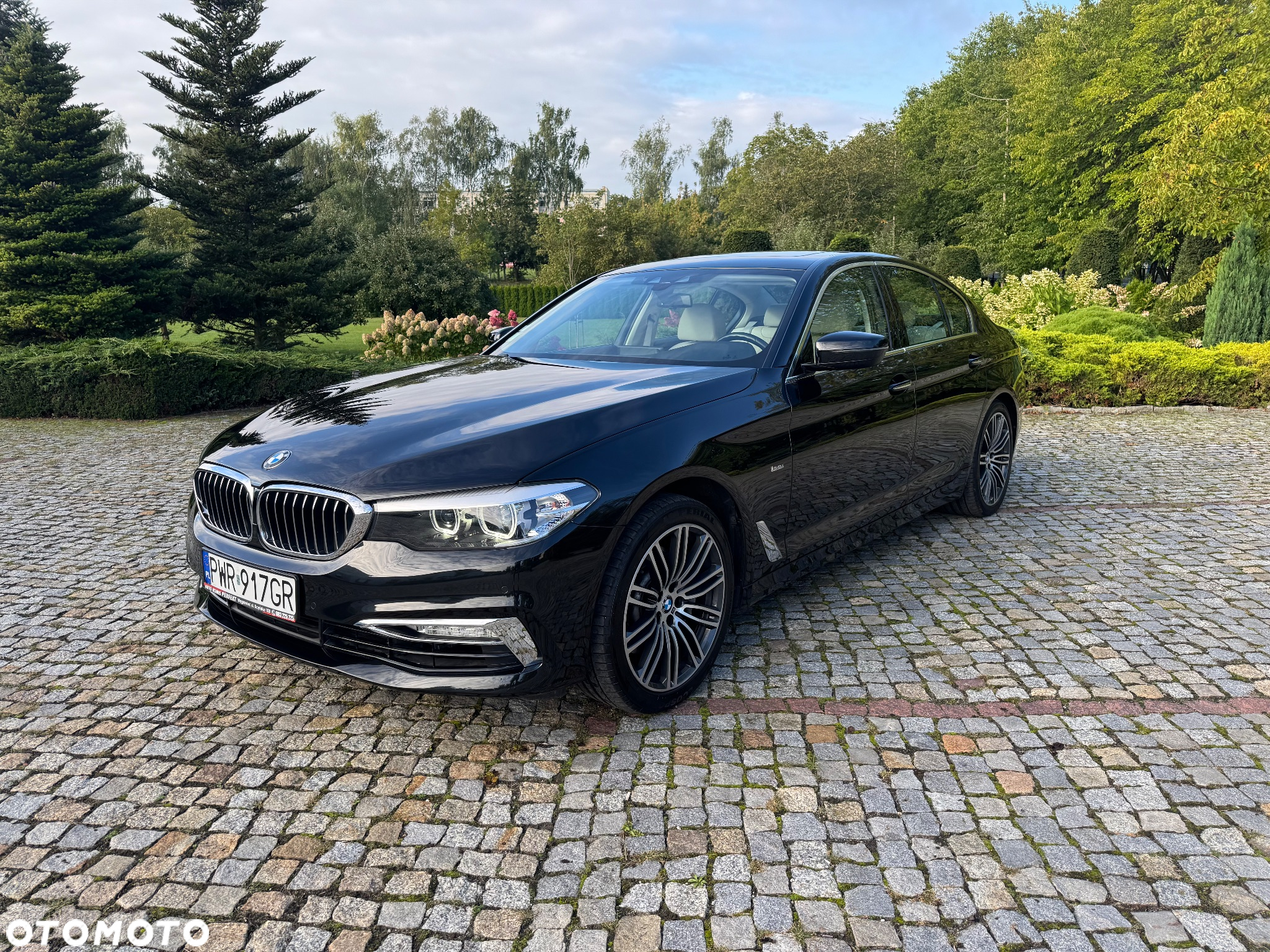 BMW Seria 5 530d Luxury Line sport - 14