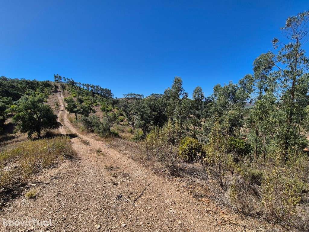 Terreno Rústico - Grande imagem: 4/23