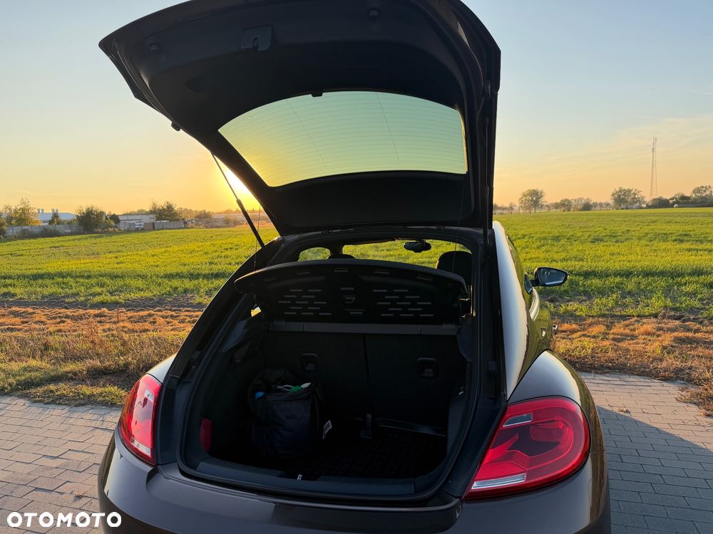 Volkswagen Beetle - 19