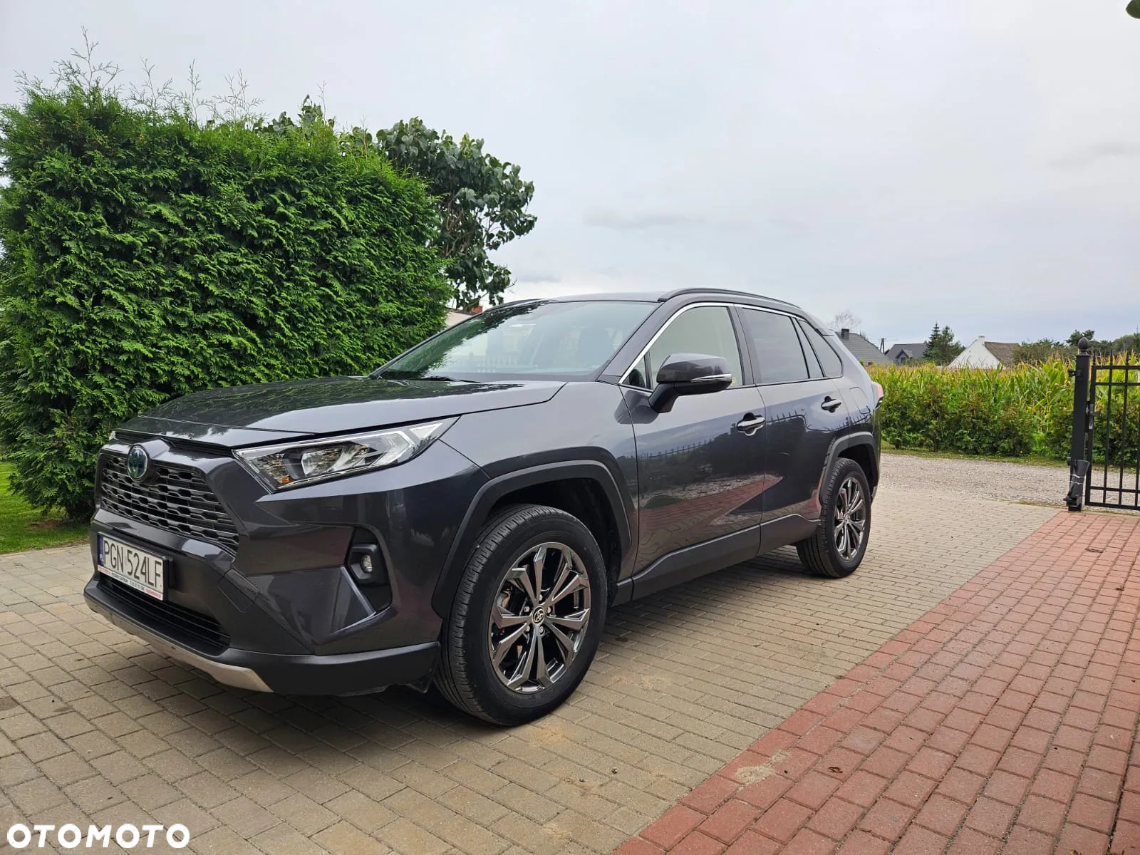 Toyota RAV4 2.5 Hybrid Comfort 4x2 - 4
