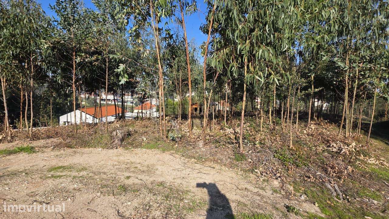 Terreno em Soure, Coimbra - Oportunidade Única de Construção - Grande imagem: 5/16