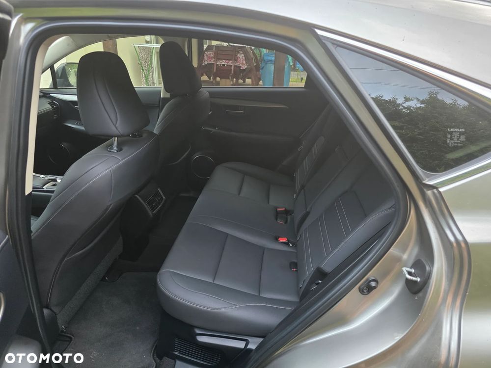 Lexus NX 300 Business Edition AWD - 7