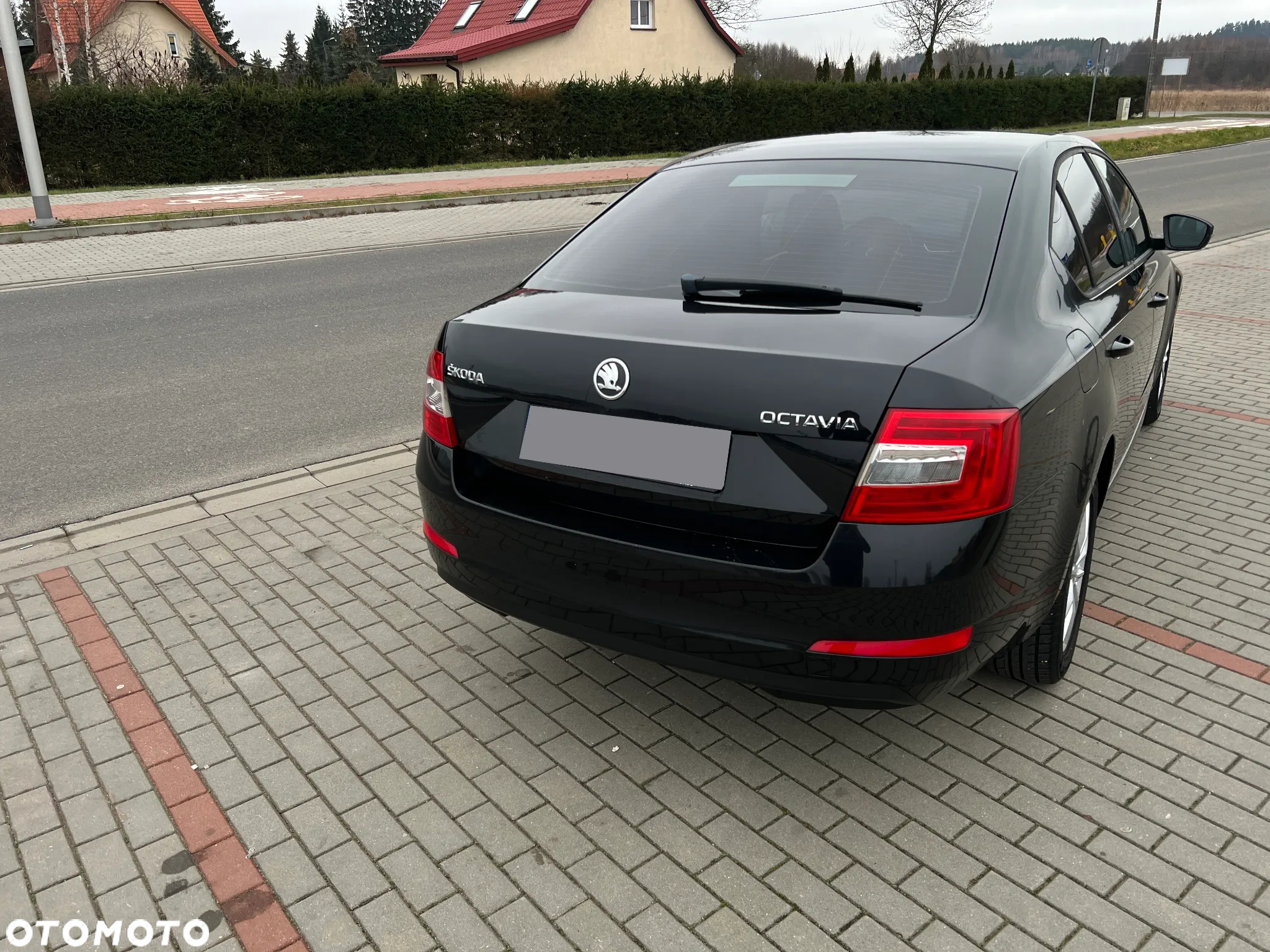 Skoda Octavia 1.6 TDI Family DSG - 30