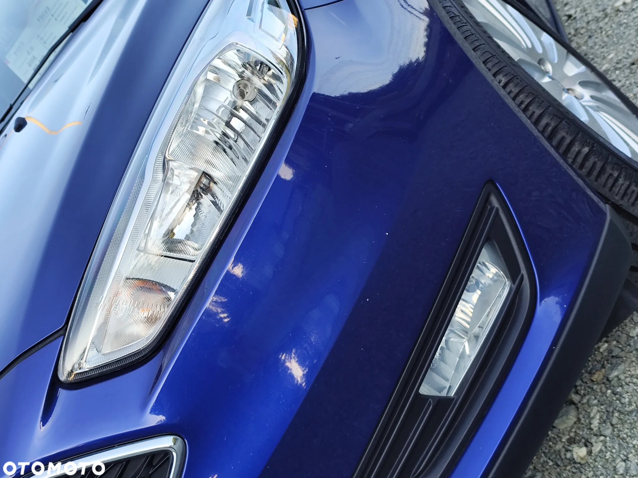 Ford Focus - 8