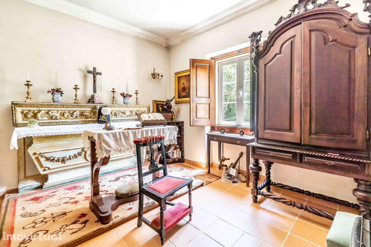 Quinta Histórica em Santarém com 539.460 m² - Grande imagem: 4/27