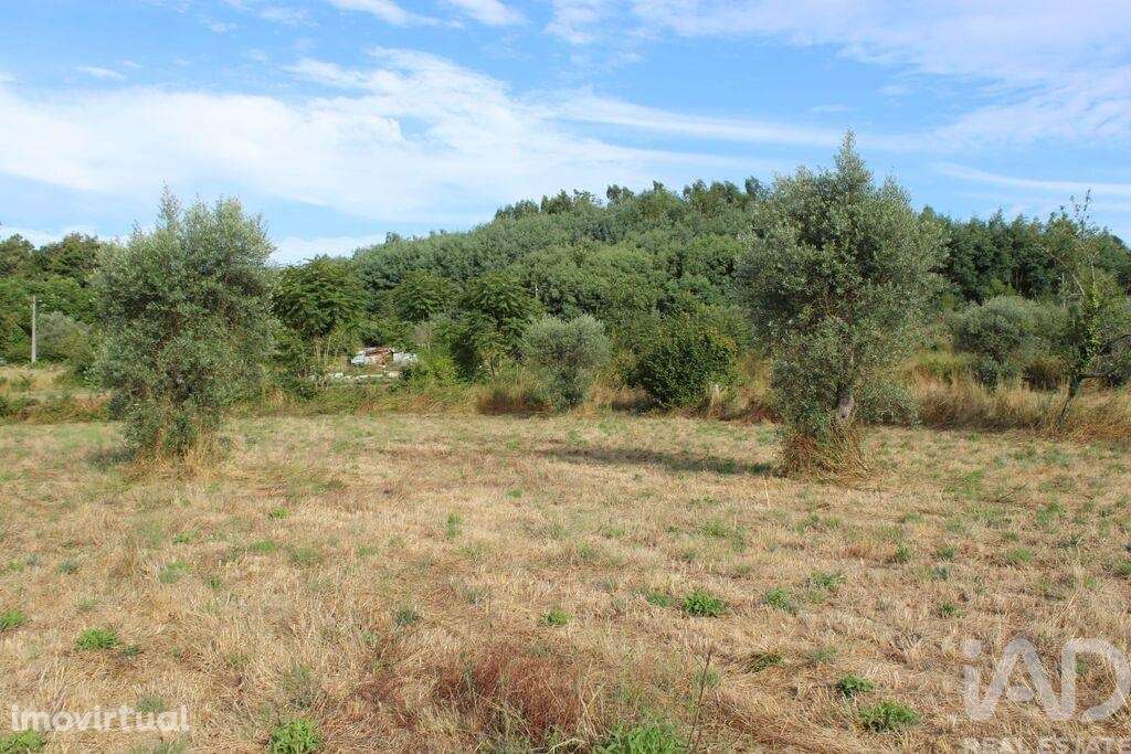 Terreno em Bobadela de 2500,00 m2 - Grande imagem: 5/10