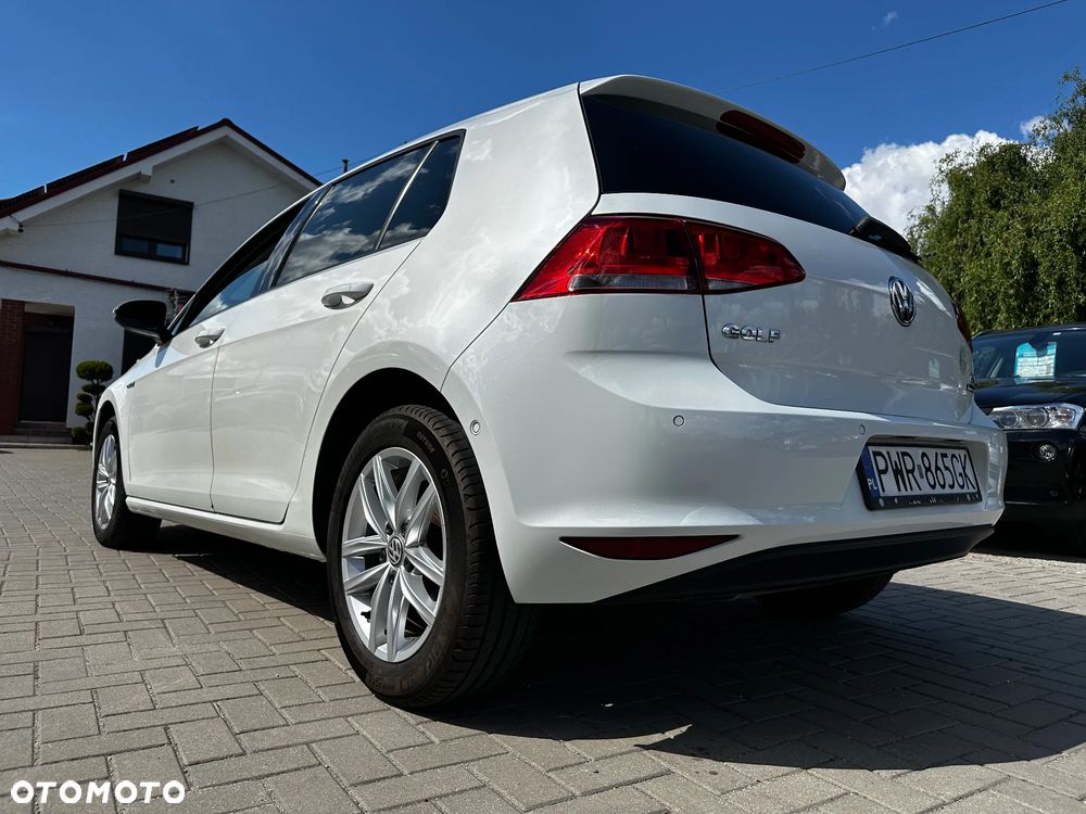 Volkswagen Golf - 33