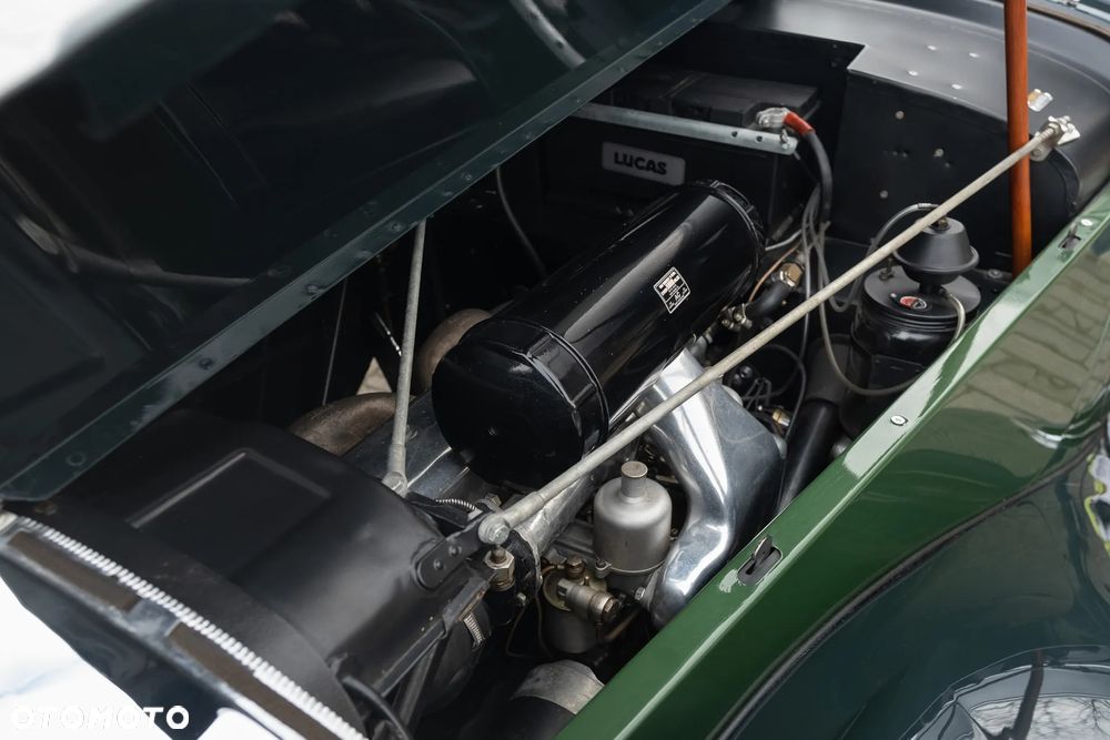 Jaguar Inny - 26
