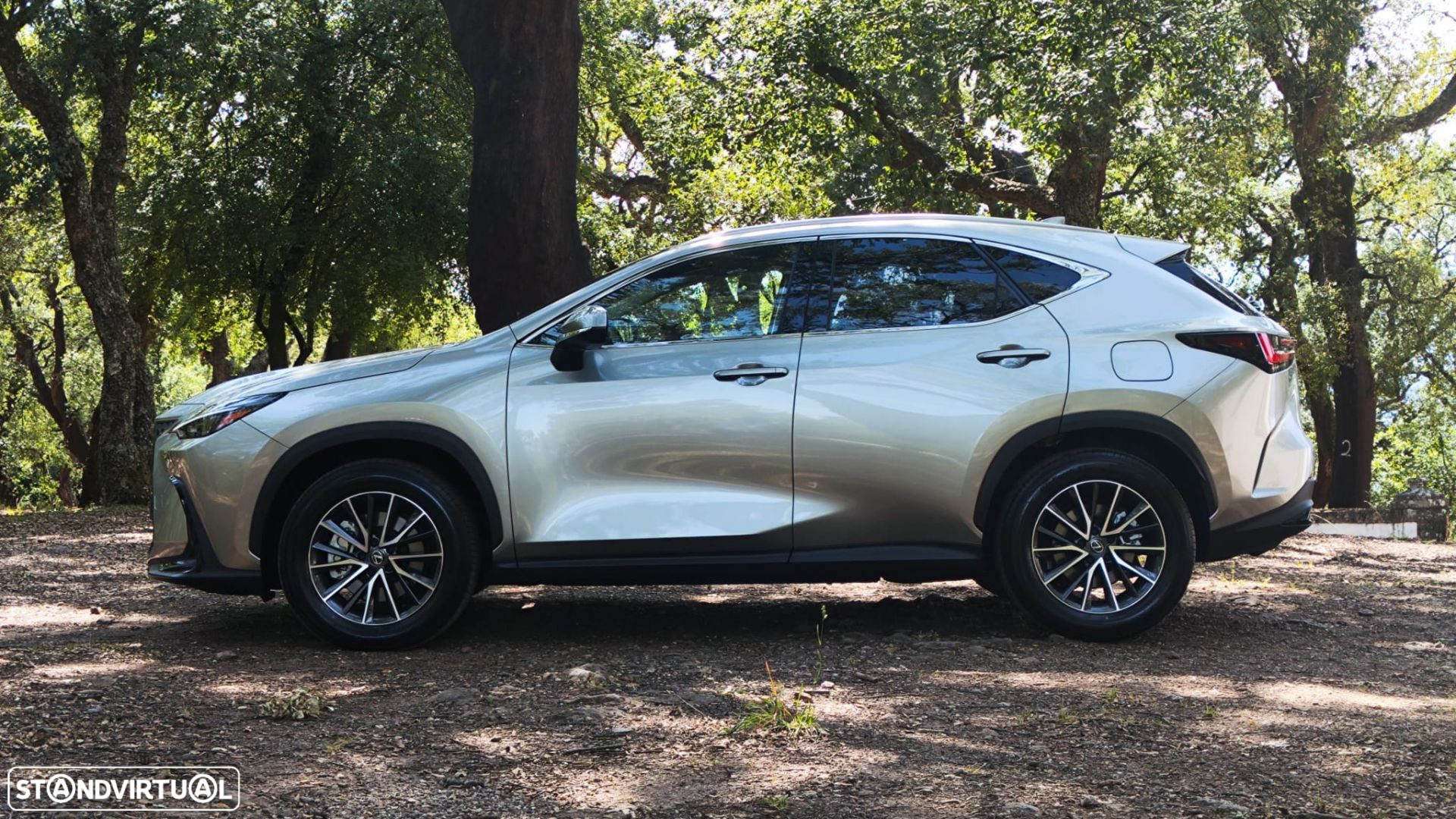 Lexus NX 450h+ Executive - 8