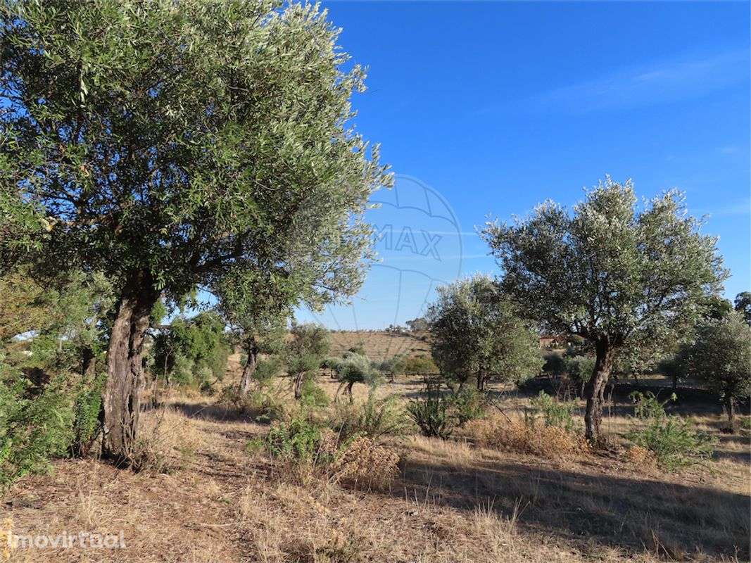 Quinta T0 para venda - Grande imagem: 4/20