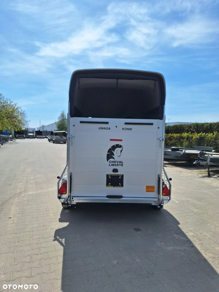 Cheval Liberte Gold Origin Debon - 5