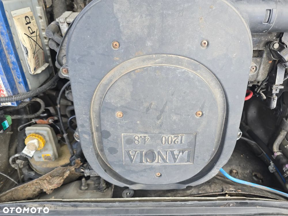 Lancia Ypsilon Y 1.2 8v Elefantino Blu - 18