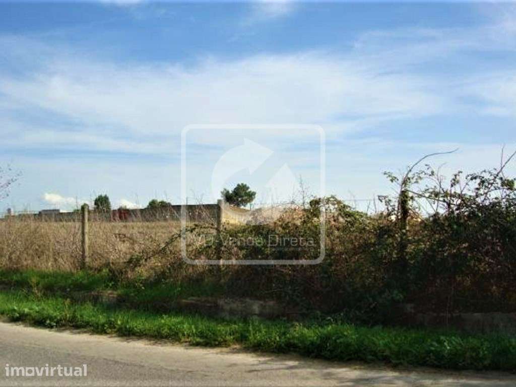 Terreno Misto com 59.880m2, Montijo próximo a A22 - IMÓVEL DA BANCA - Grande imagem: 5/14
