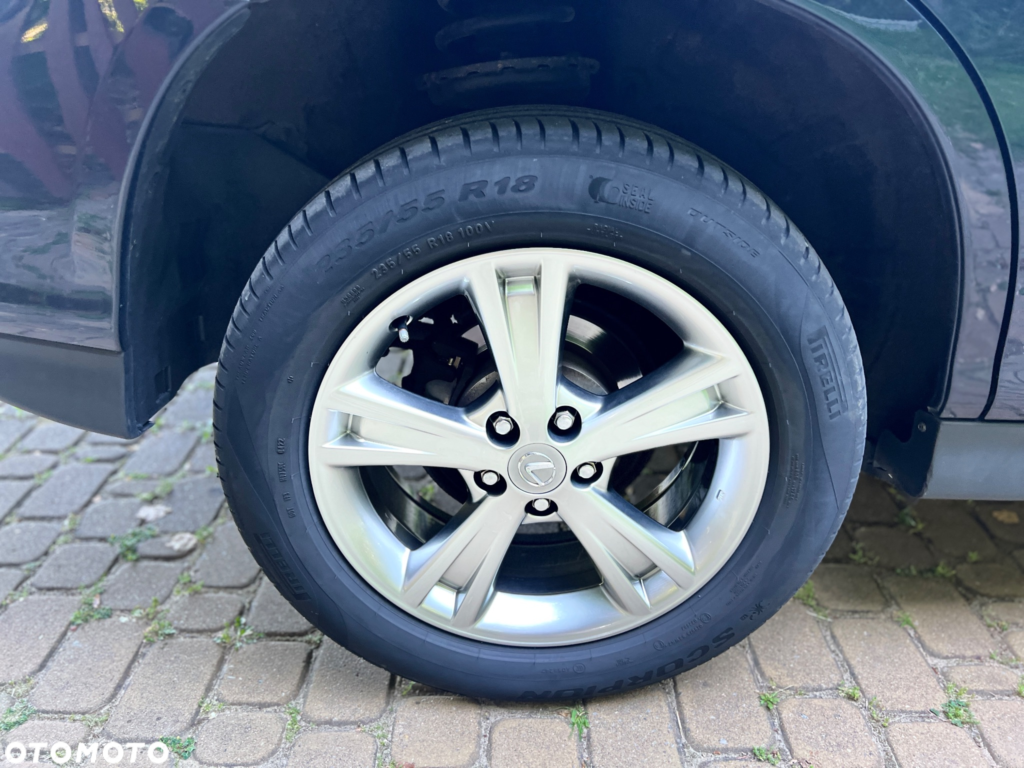 Lexus RX - 22