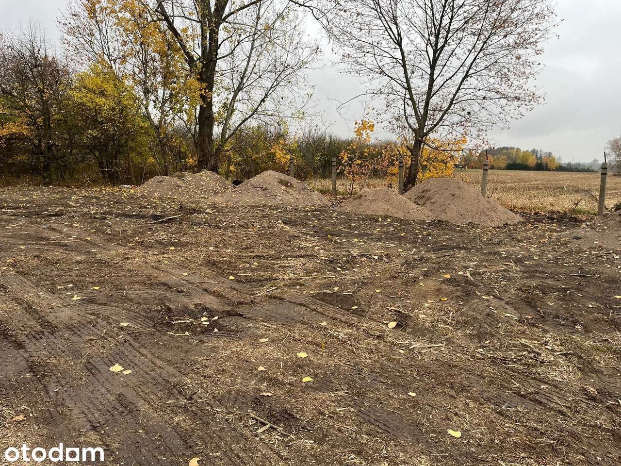 Działka 3300 m² z MPZP – Bednary-Kolonia, gm. Nieborów - Pełny obrazek: 3/5