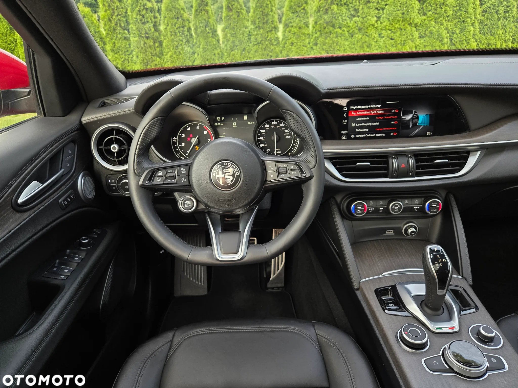 Alfa Romeo Stelvio 2.0 Turbo 16V AT8-Q4 Ti - 35