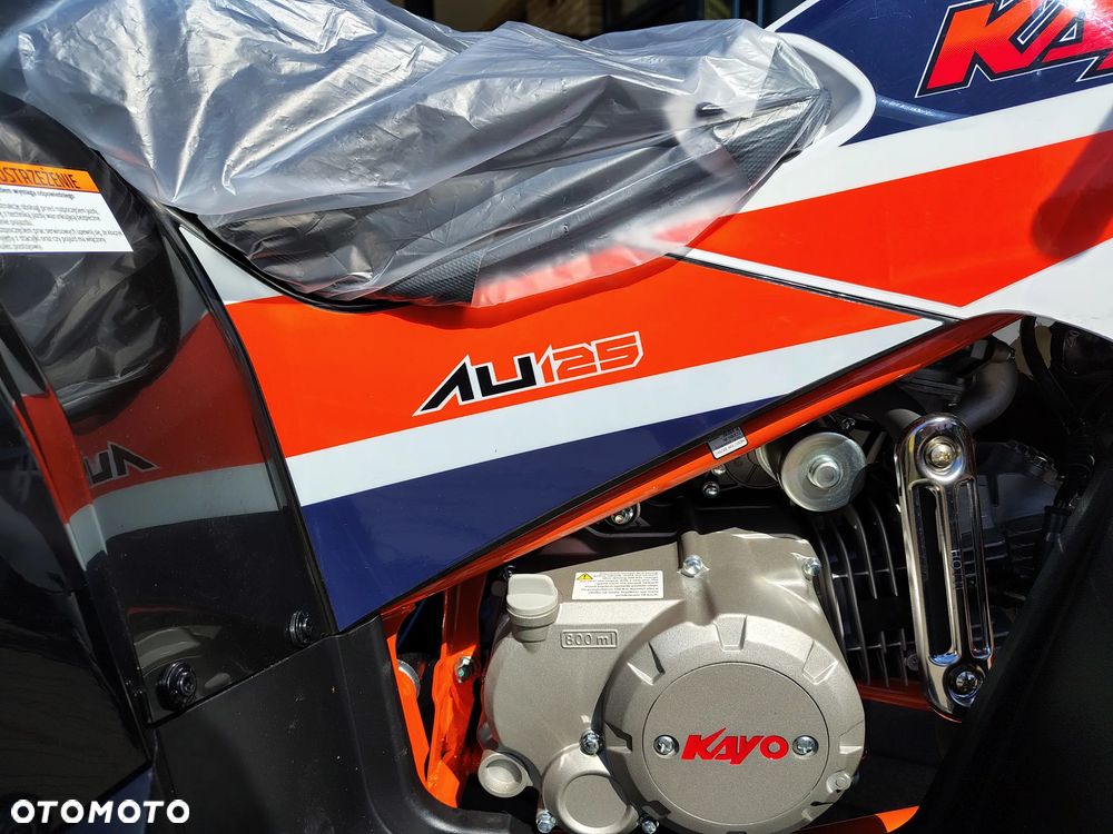 KAYO AU - 13
