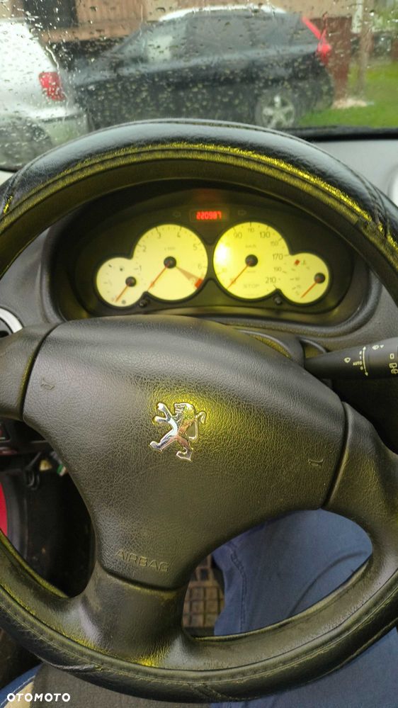 Peugeot 206 - 5