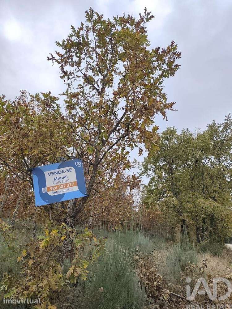 Terreno Agrícola em Sabugal e Aldeia de Santo António - Grande imagem: 3/5