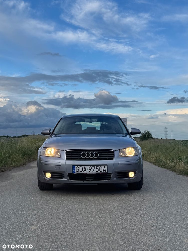 Audi A3 3-drzwiowe 1.6 FSI Ambiente - 2